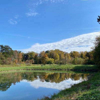 Picture of outdoor pond with trees and sky